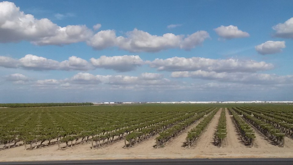 Convective Uplift and Cloud formation in the Central Valley over Fields